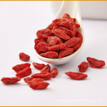 Baies de goji séchées et de haute qualité biologiques de Mongolie intérieure